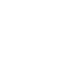 Fenice Audio