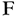 Fenker's Furniture