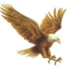 FENORD - Educational Foundation Northeast Mineiro
