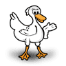 Ferguson Farms Inc.