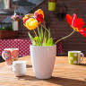 Ferien Schwentine