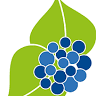 Ferienhaus Aronia