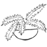 fern