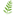Fern Resort