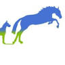 Fernvale Veterinary Surgery