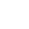 F-MOTORS GROUP