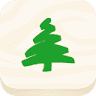 Holz Fesl