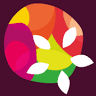 Festifruits