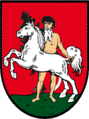 Freiwillige Feuerwehr Wildemann