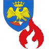 Freiwillige Feuerwehr Schwarzenbach