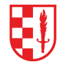 Freiwillige Feuerwehr Spielfeld