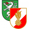 Freiwillige Feuerwehr Steyr (Wasserzug)