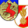 Freiwillige Feuerwehr St. Ilgen