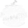 Financial & Insurance Consultants (F. I. C.)