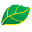 Fida - Unidade Pantano Grande