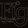 Fig Photography