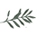 Fig & Fern Marketplace, LLC