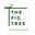 The Fig Tree