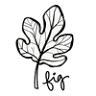 Fig Tree North