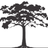 Figtree Sports
