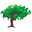 Figtree Surgery