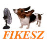 Fikesz-Plusz Kft
