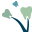 Findlay Orthodontics