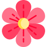 Fiori e Fantasie