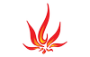 Fire Cannabis Co - Cannabis Store