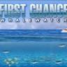 First Chance Whale Watch