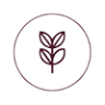 First to Fourth - Pregnancy yoga, Mum & baby yoga, Baby massage and Yoga for Women in Richmond, Kew and online