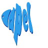 Fisch Apel