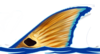 Coastal Waters Outfitters