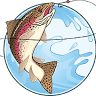 Australian Rainbow Trout Farm