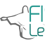 Físio Lemos - Fisioterapia & Saúde