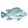 Fiskehuset Thisted