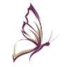 Fitzroy Funerals Funeral Directors | Rockhampton Queensland