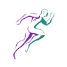 physio sport
