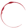 Flair Fusion Restaurant