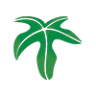Flame Tree Landscape Design