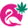 Flamingo+ Cannabis & Vape Shop | Pembina | St.Norbert |