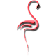 FLAMINGO BEACH
