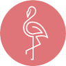 Flamingos Coffee Bar