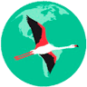Flamingo Tours & Travel LLC