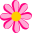 Flamingó Virágüzlet