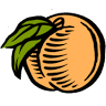 Flamm Orchards
