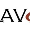 Flavor Indian & Asian Fare