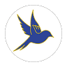 Fledge Institute of Aviation & Hospitality - MYFLEDGE Bhopal