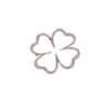Fleurs d'Azur