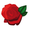Fleurish, the art of flowers